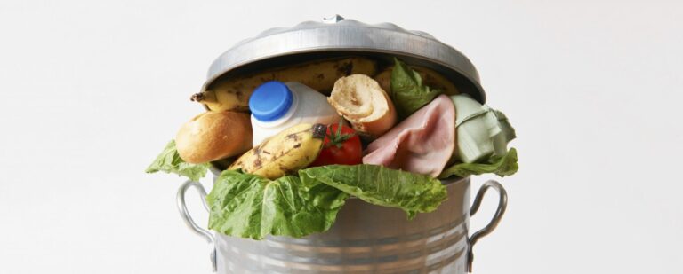 5 Tips to Minimize Food Waste blog header image